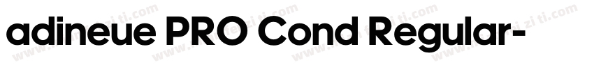 adineue PRO Cond Regular字体转换